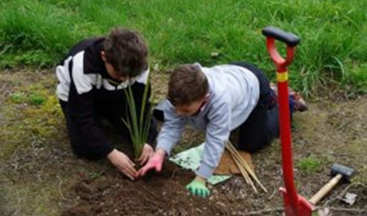 Planting at Foster Park