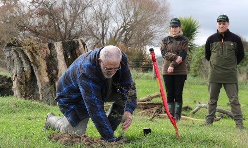 Te Waihora Reserve Planting