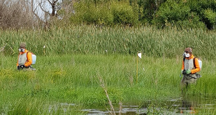 Weed Strikeforce banner