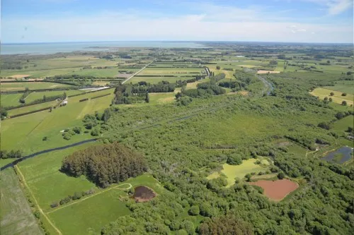 Tārerekautuku project