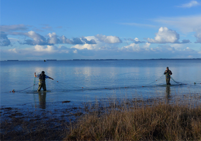 Recreational fishing