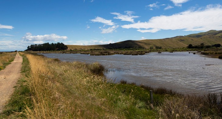 Te Waihora bike trail