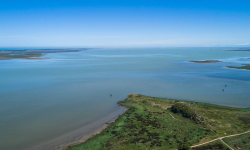 Te Waihora header